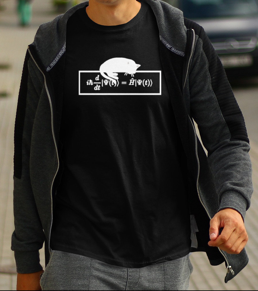 Schrodinger Equation Cat Quantum Physics Humor Psi Function T-Shirt