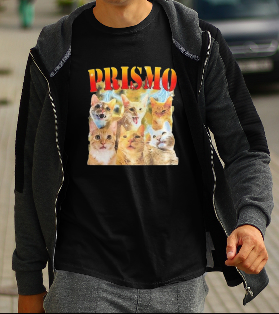 Prismo Cats Colorful Expressions Feline Montage T-Shirt