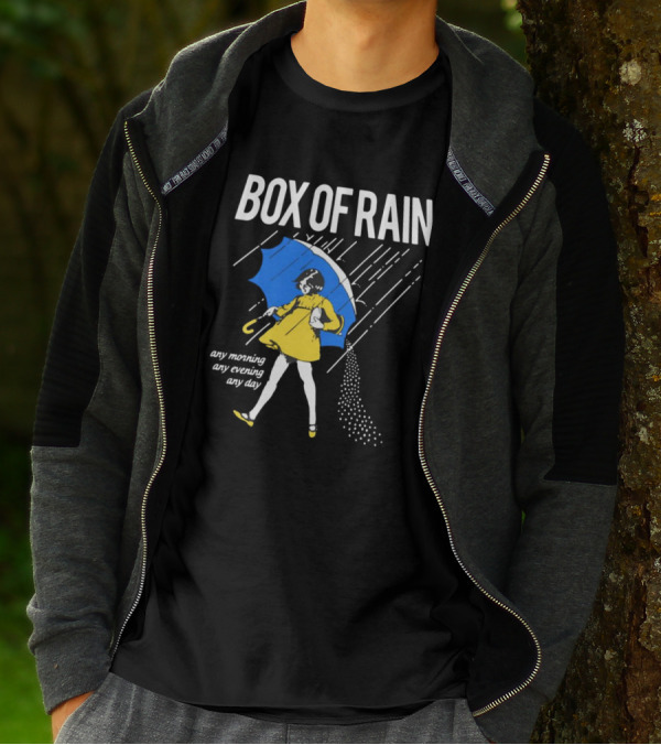 Box Of Rain Any Morning Any Evening Any Day T-Shirt