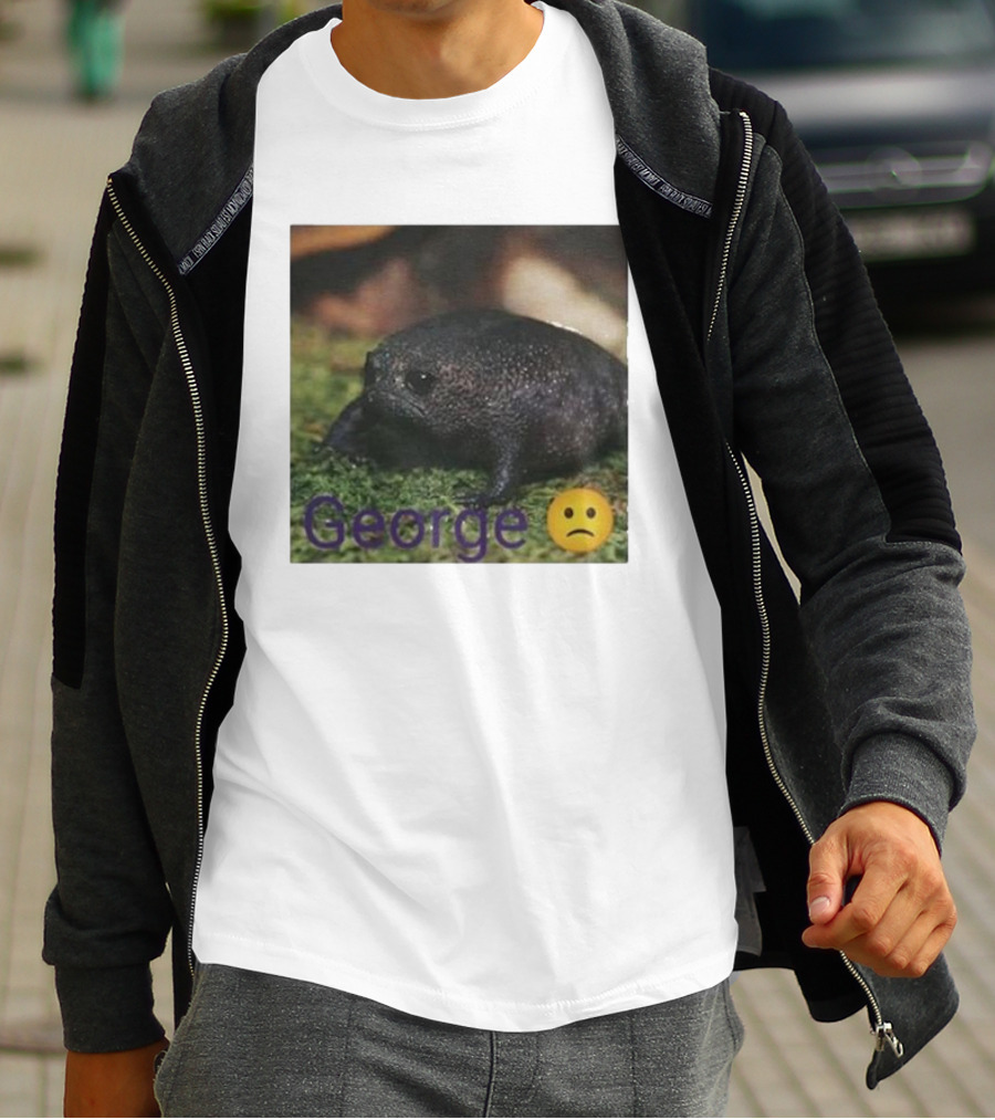 George Sad Frog Meme Inspired Image T-Shirt
