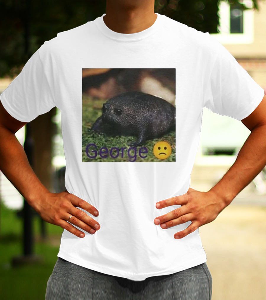 George Sad Frog Meme Inspired Image T-Shirt