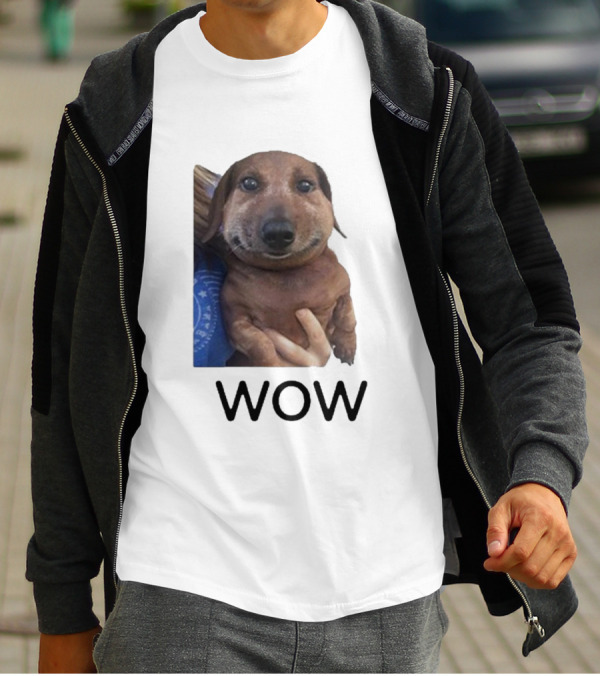 Fallenchungus Wow Dog Meme With Funny Expression T-Shirt