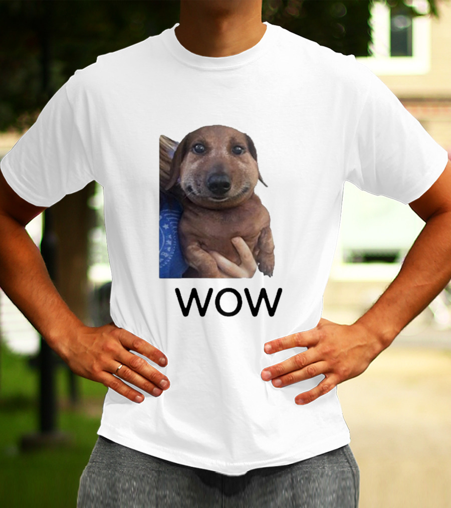Fallenchungus Wow Dog Meme With Funny Expression T-Shirt
