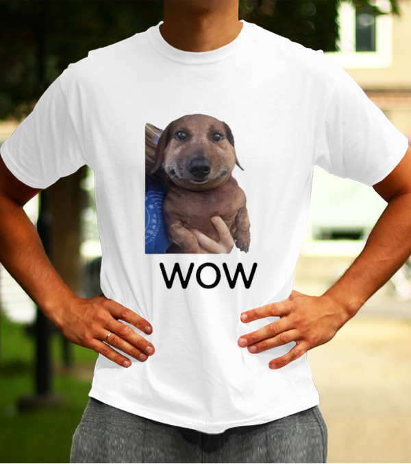 Fallenchungus Wow Dog Meme With Funny Expression T-Shirt