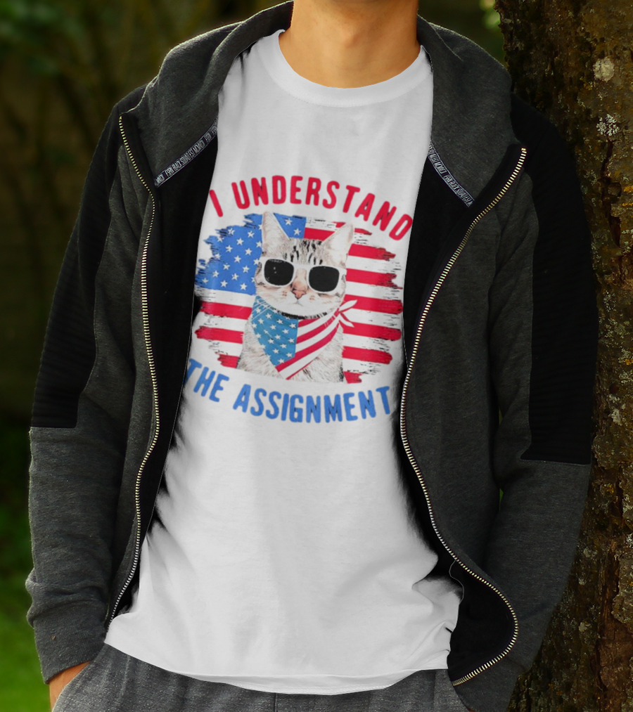 I Understand The Assignment Cat With American Flag Sunglasses And Scarf T-Shirt