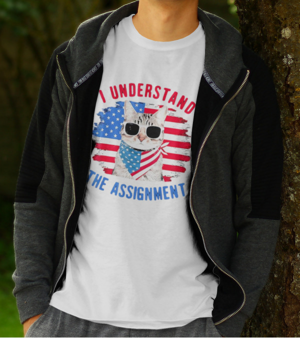 I Understand The Assignment Cat With American Flag Sunglasses And Scarf T-Shirt
