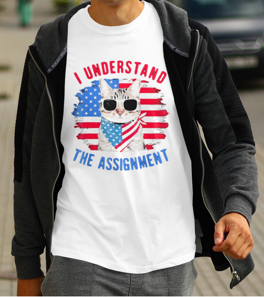 I Understand The Assignment Cat With American Flag Sunglasses And Scarf T-Shirt