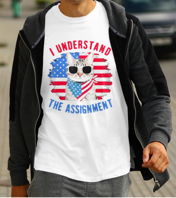 I Understand The Assignment Cat With American Flag Sunglasses And Scarf T-Shirt