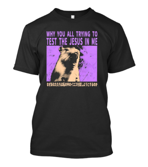 Why You All Trying To Test The Jesus In Me Capybara Japanese Text T-Shirt