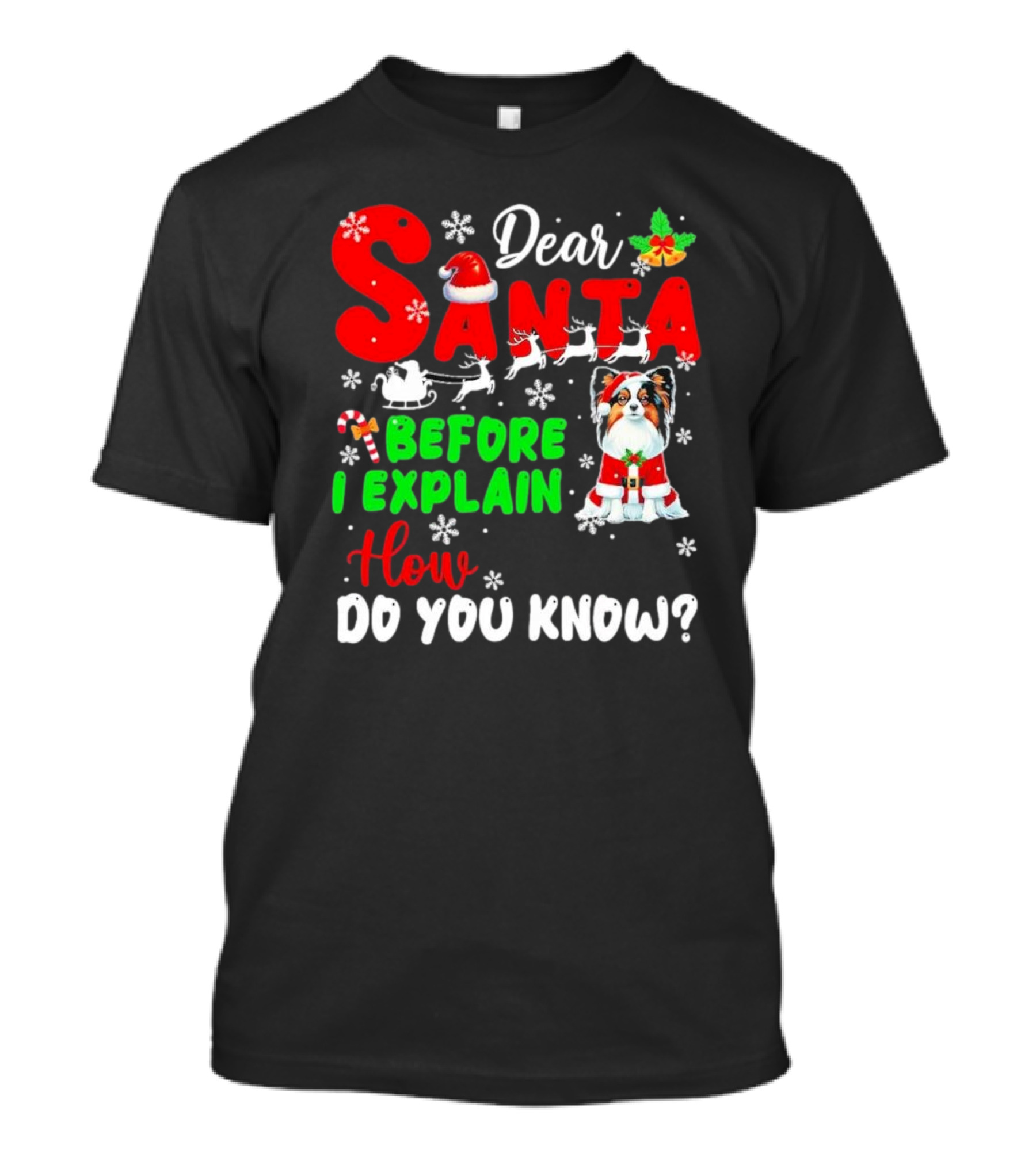 Dear Santa Before I Explain How Do You Know Santa Hat Reindeer Dog Xmas T-Shirt