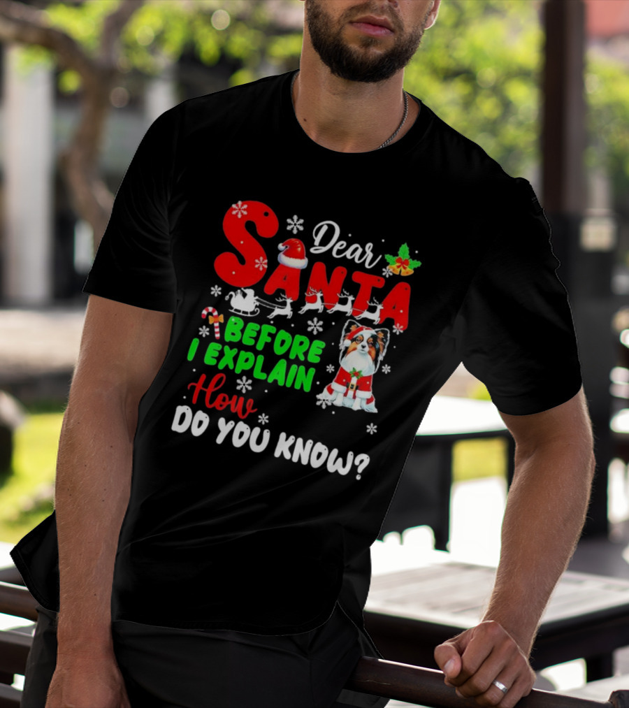 Dear Santa Before I Explain How Do You Know Santa Hat Reindeer Dog Xmas T-Shirt