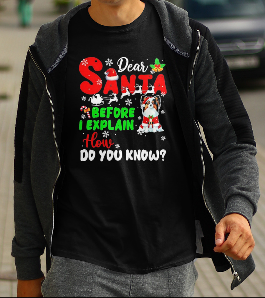 Dear Santa Before I Explain How Do You Know Santa Hat Reindeer Dog Xmas T-Shirt
