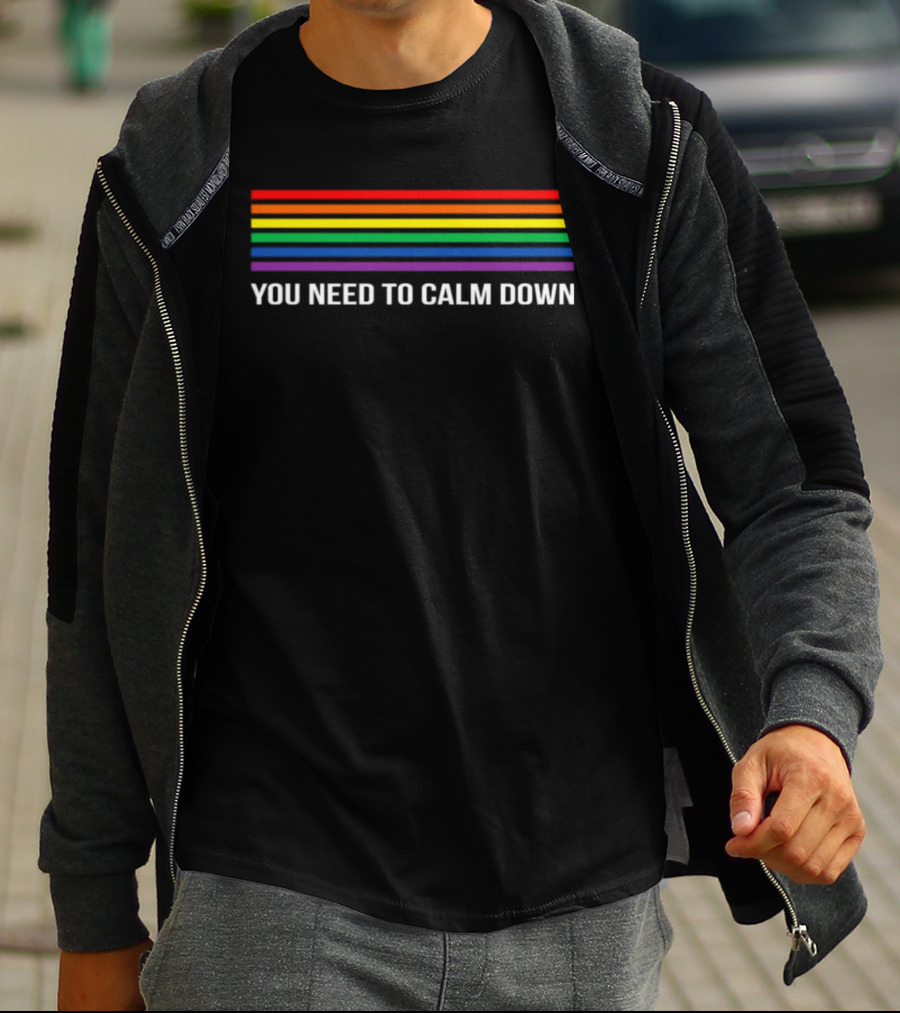 Gay Pride Rainbow Stripes You Need To Calm Down T-Shirt