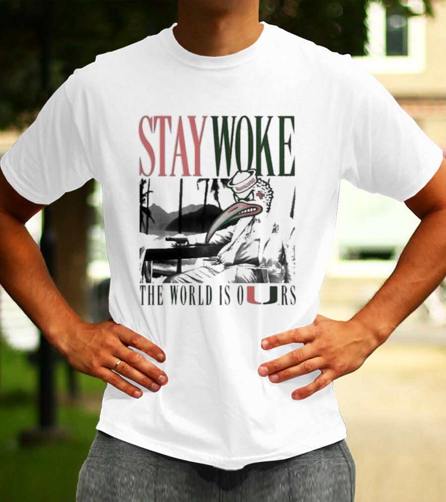 Stay Woke The World Is Ours Miami Hurricanes Vintage T-Shirt