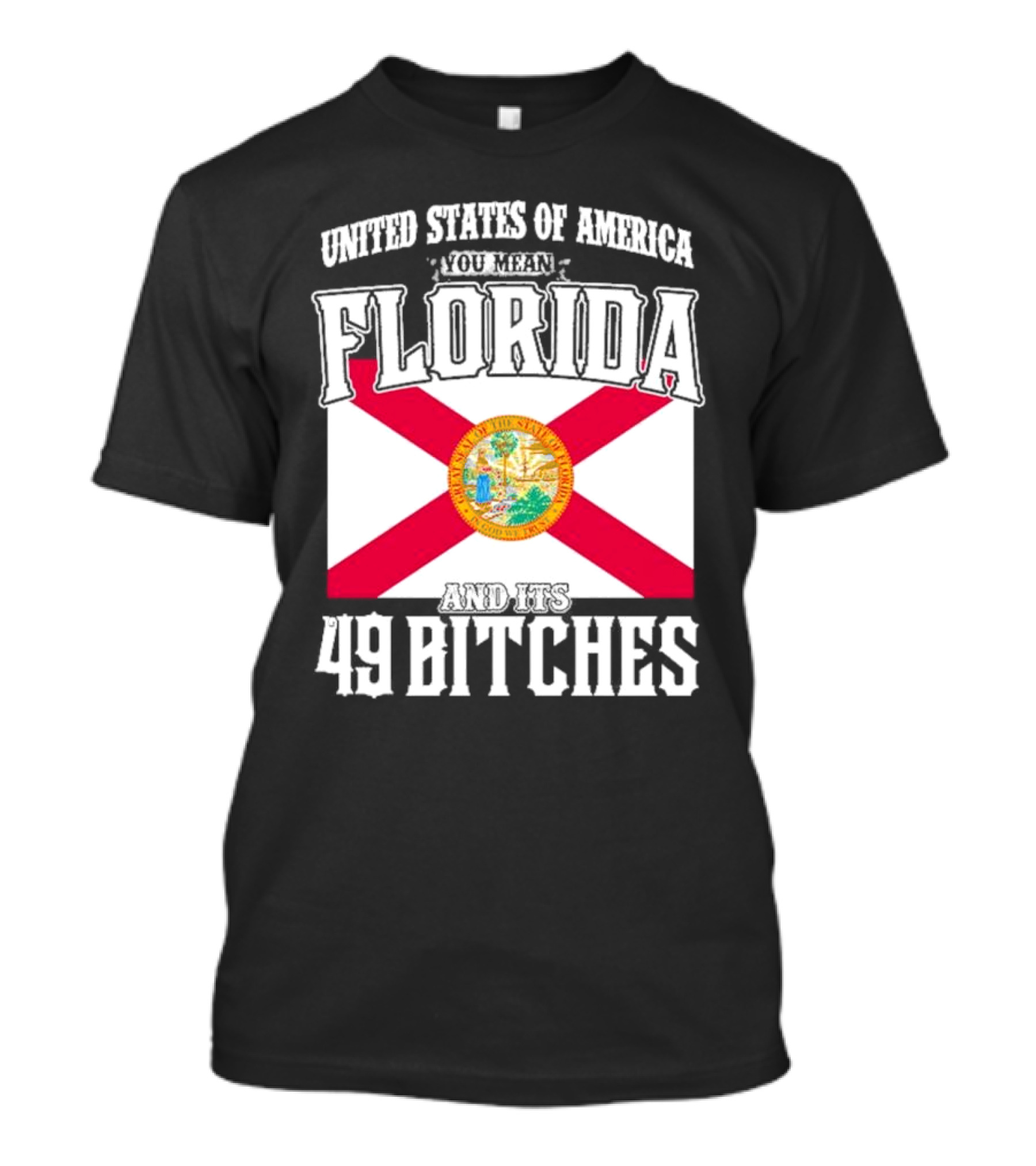 United States Of America You Mean Florida And Its 49 Bitches Flag T-Shirt