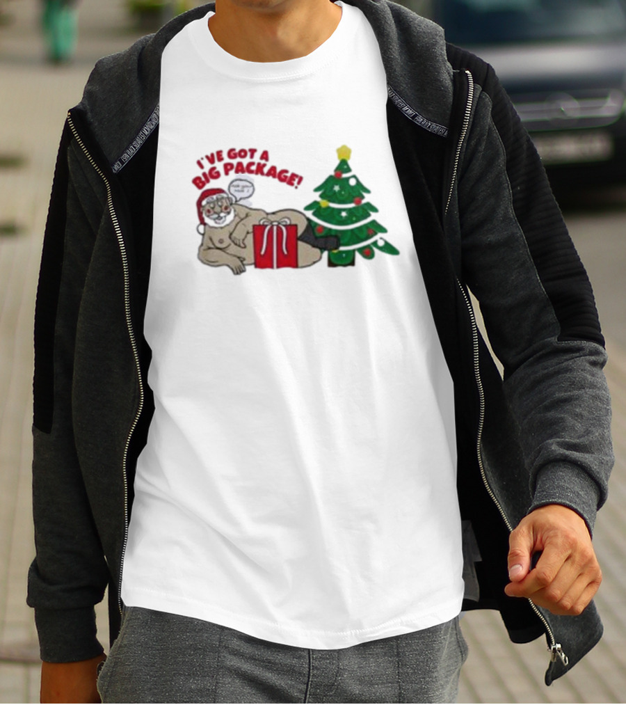 I've Got A Big Package Santa's Tree Smash Ugly Christmas T-Shirt