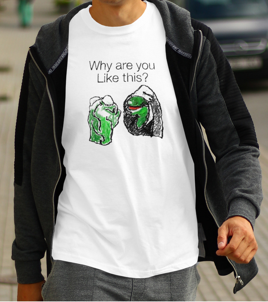 Why Are You Like This Meme Frog Hoodie Inner Self Conflict T-Shirt