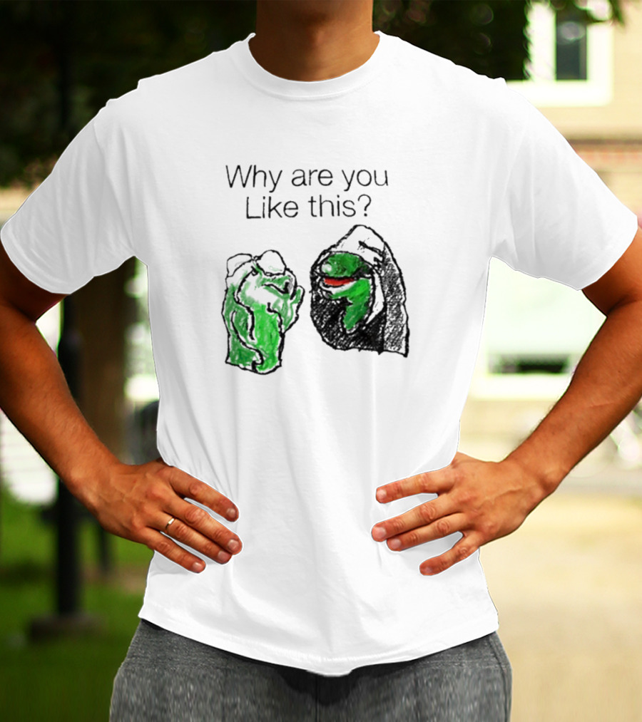 Why Are You Like This Meme Frog Hoodie Inner Self Conflict T-Shirt