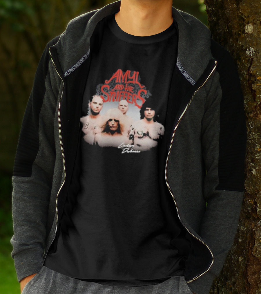 Amyl And The Sniffers Band Comfort To Me Logo Photo T-Shirt