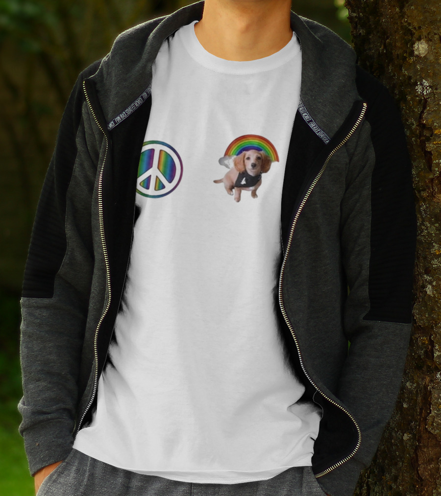 Illenium The Princess Peanut Rainbow Peace 2025 T-Shirt