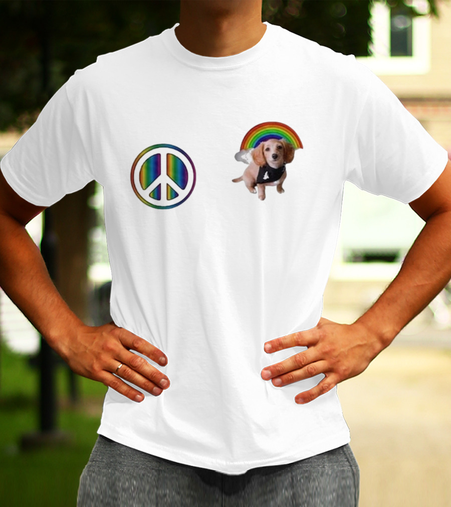 Illenium The Princess Peanut Rainbow Peace 2025 T-Shirt