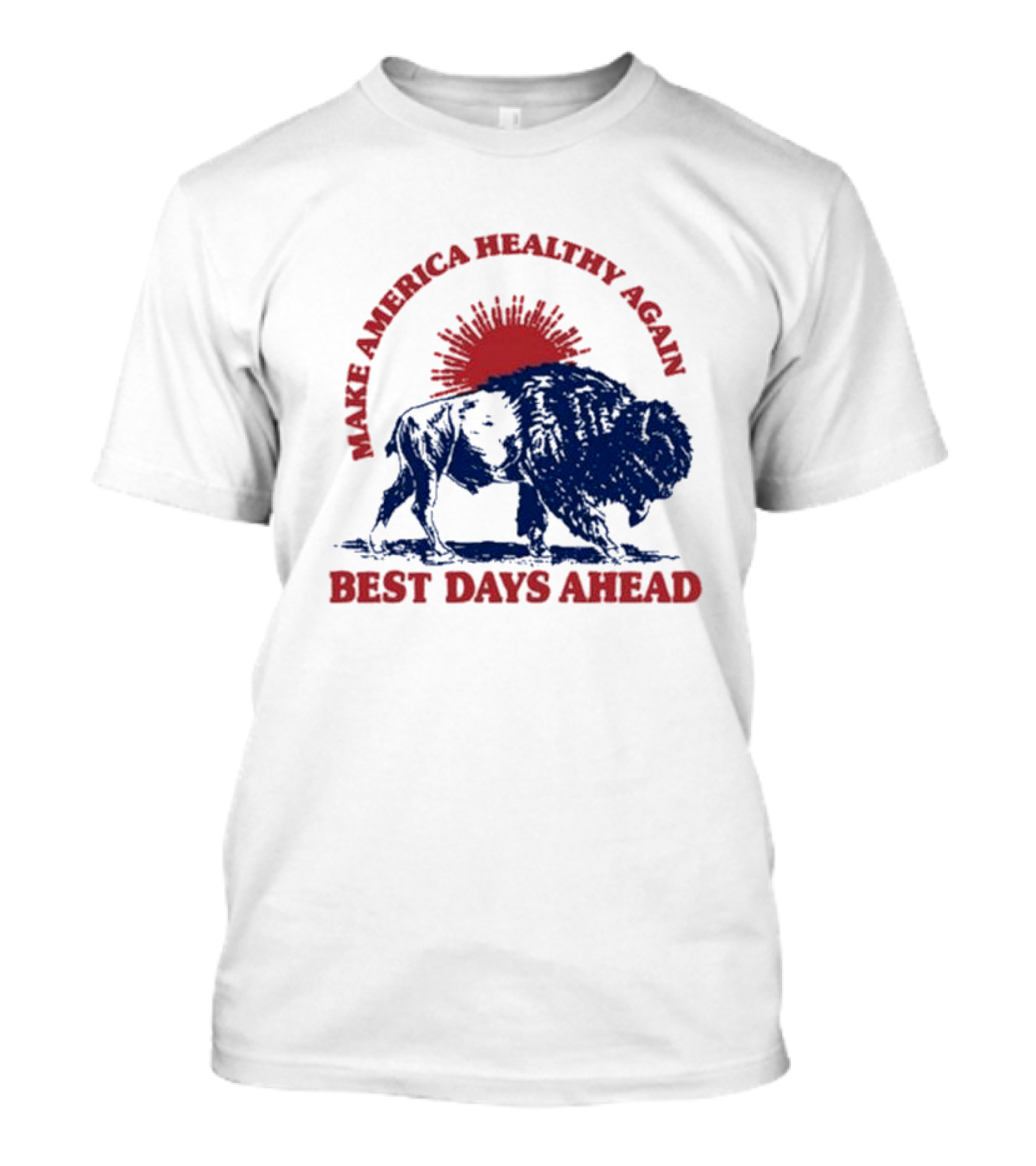 Make America Healthy Again Best Days Ahead Buffalo Bison Sunburst T-Shirt