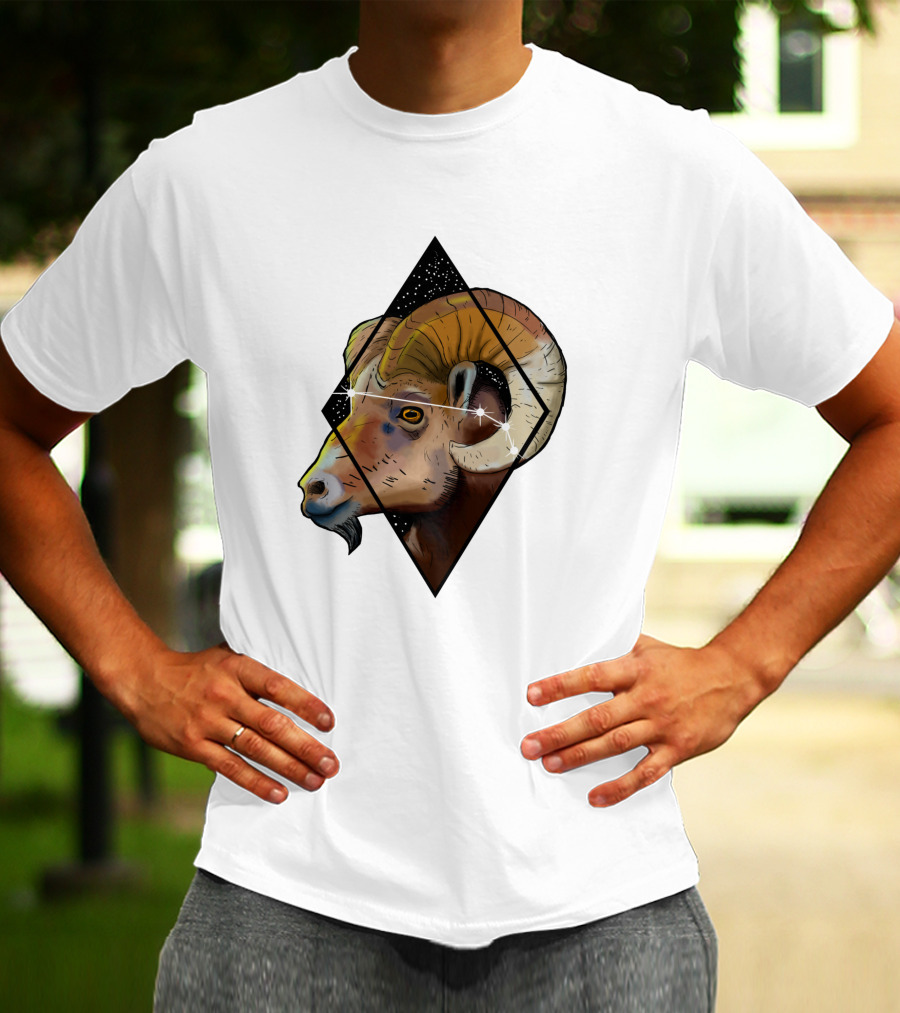 Aries Ram Starry Diamond 1041397 T-Shirt