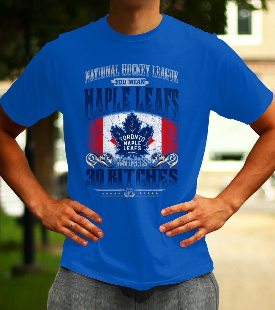 National Hockey League You Mean Toronto Maple Leafs And Its 30 Bitches T-Shirt