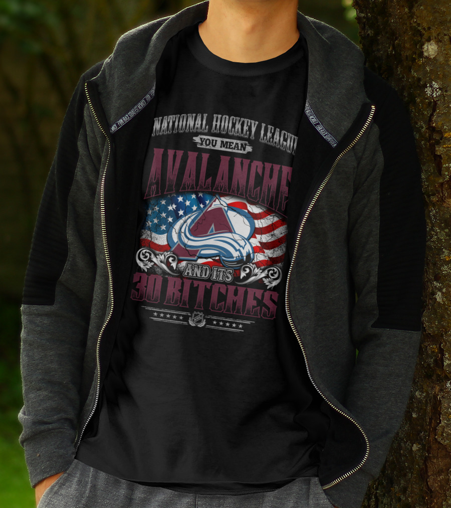 National Hockey League You Mean Avalanche And Its 30 Bitches T-Shirt