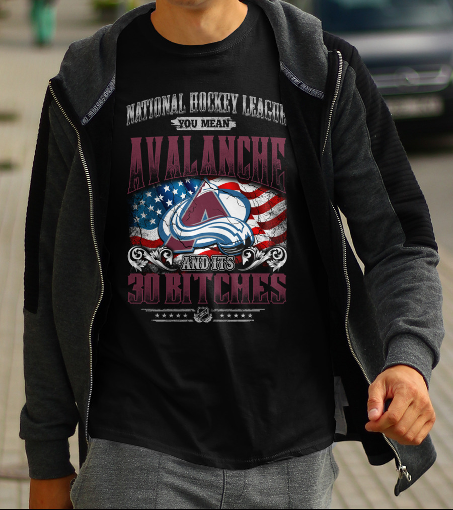National Hockey League You Mean Avalanche And Its 30 Bitches T-Shirt