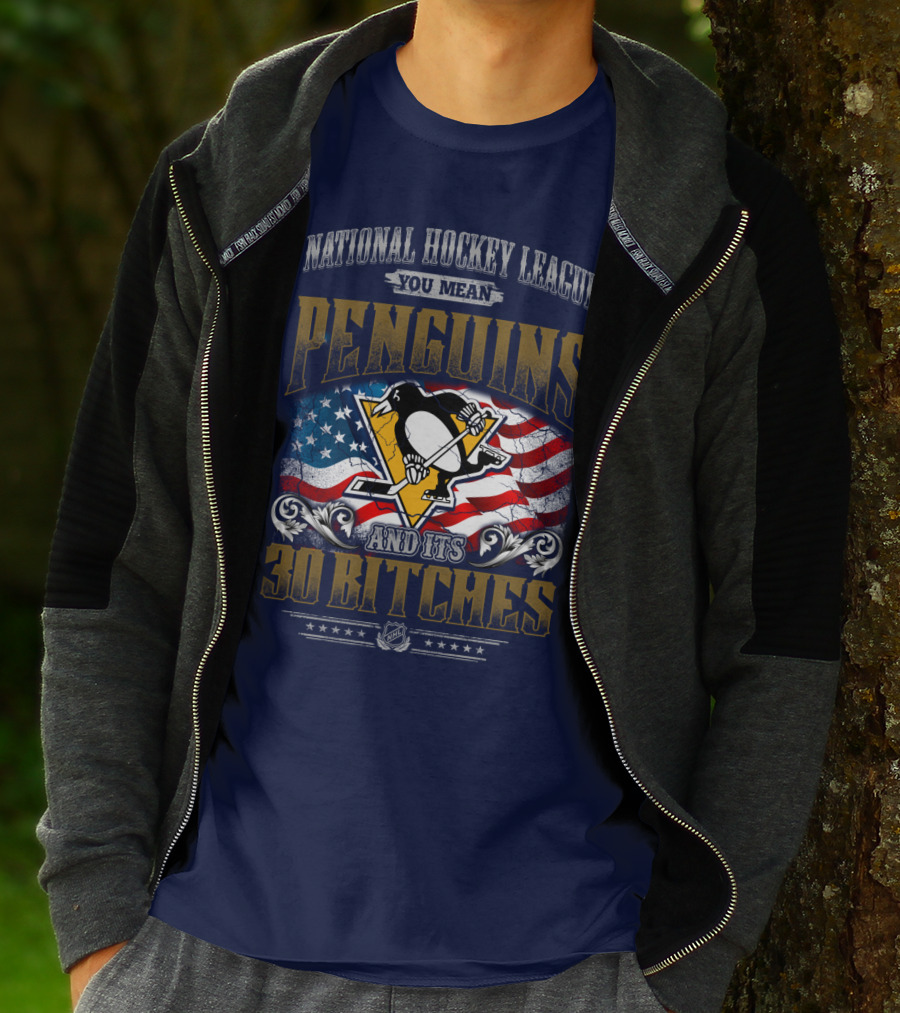 National Hockey League You Mean Penguins And Its 30 Bitches T-Shirt