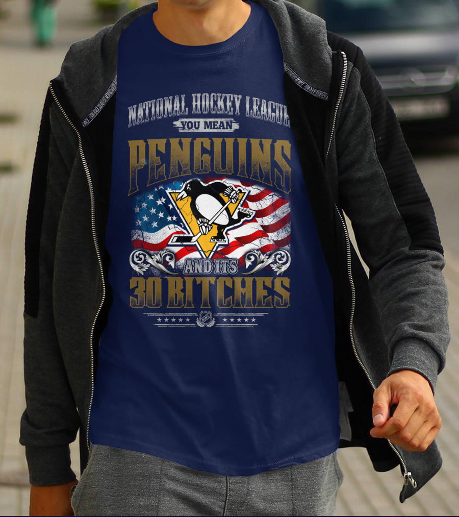 National Hockey League You Mean Penguins And Its 30 Bitches T-Shirt