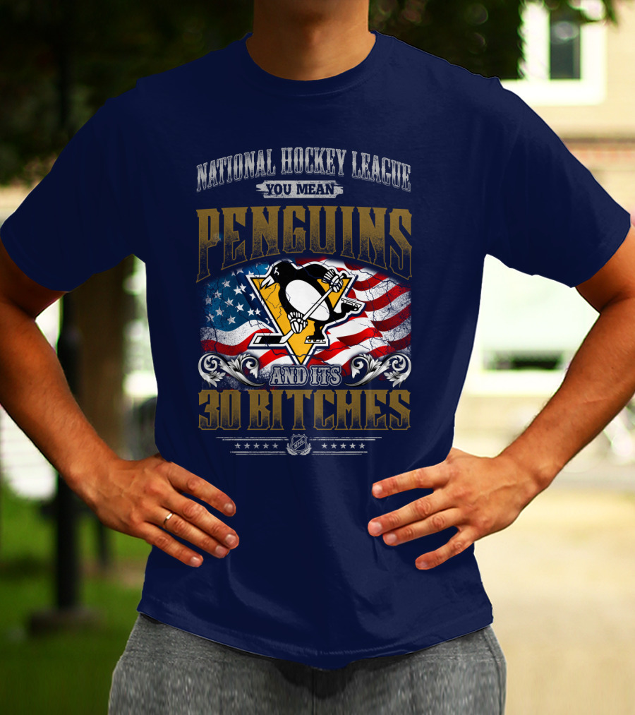 National Hockey League You Mean Penguins And Its 30 Bitches T-Shirt