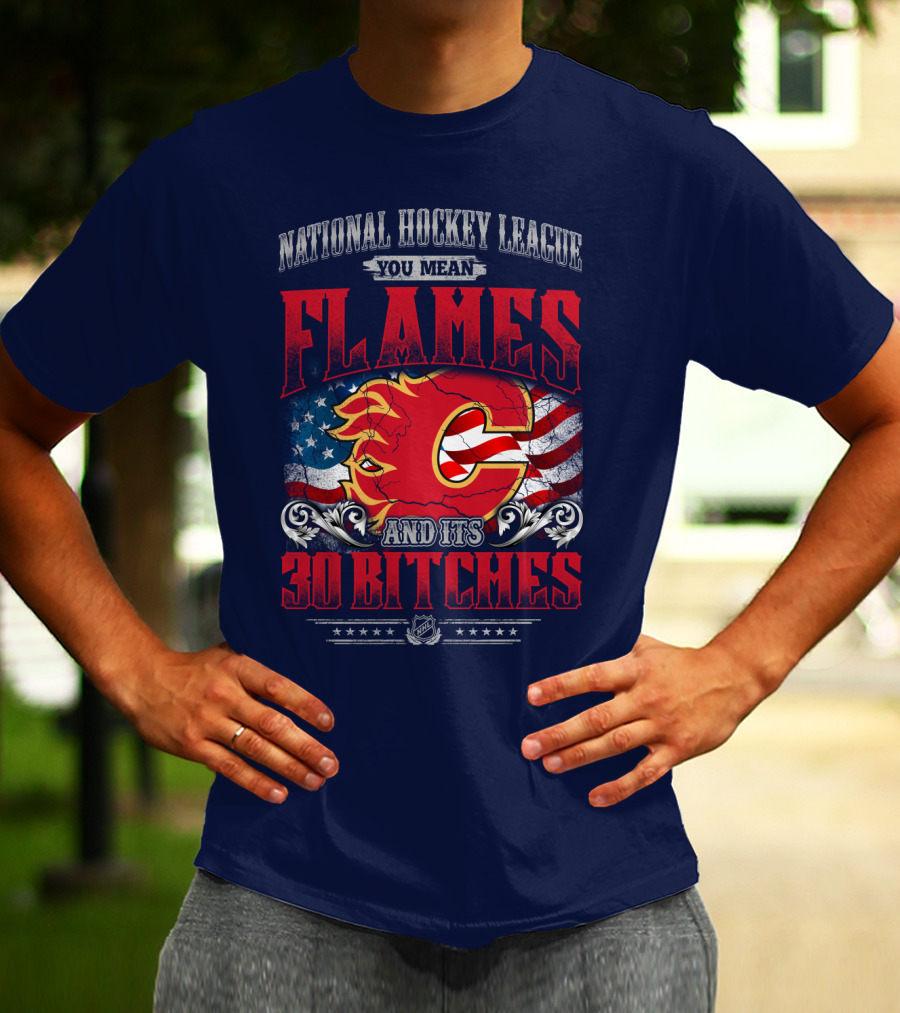 National Hockey League You Mean Flames And It's 30 Bitches T-Shirt