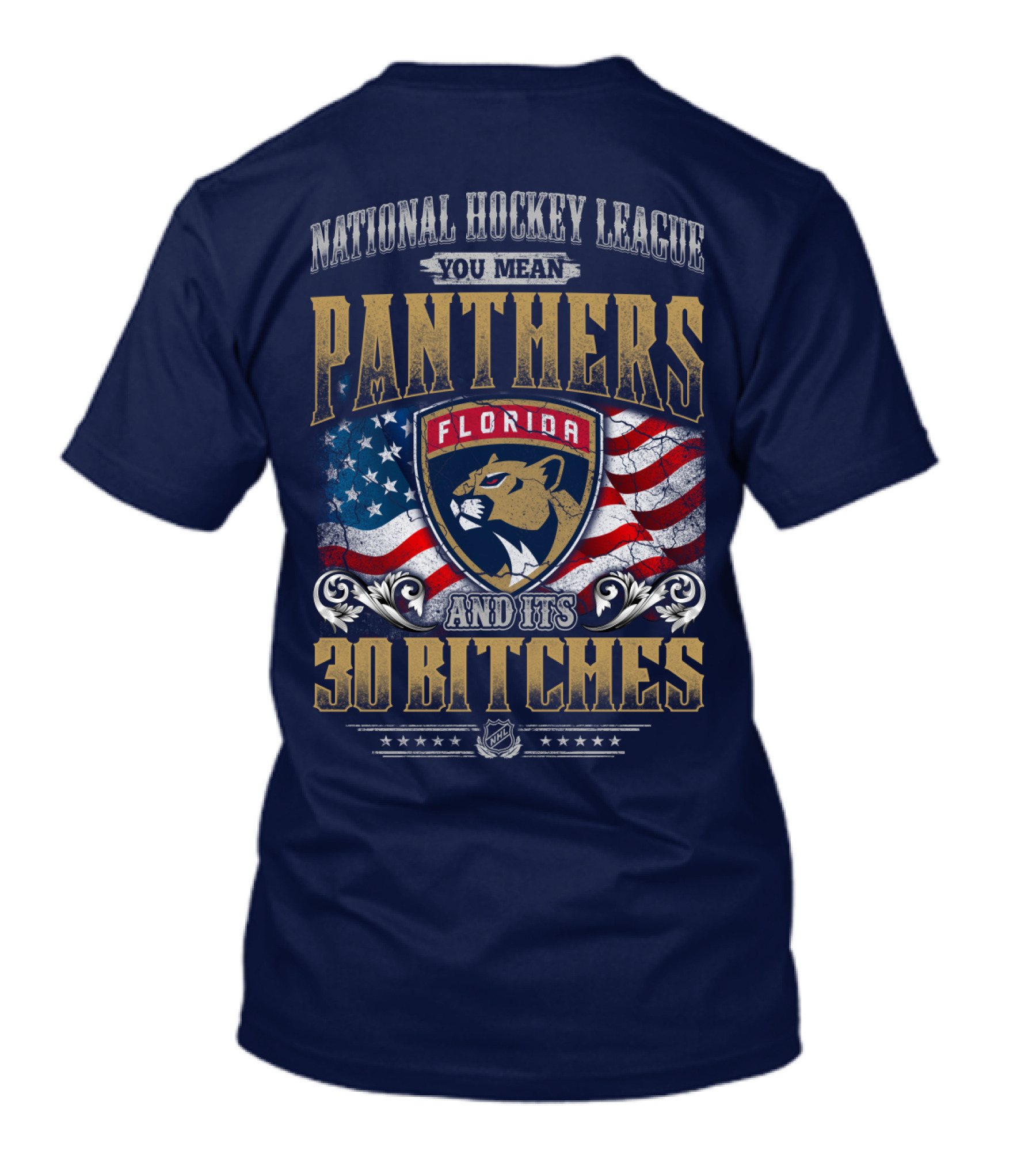 National Hockey League You Mean Florida Panthers And Its 30 Bitches T-Shirt
