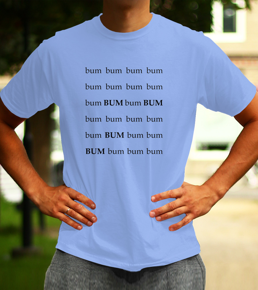 All The Single Ladies Bum Bum Bum T-Shirt