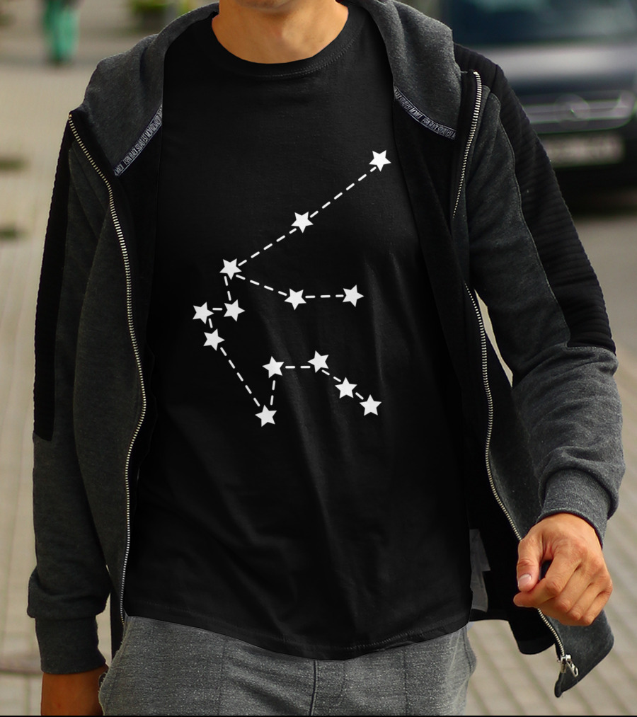 Aquarius Constellation Stars White 495 T-Shirt