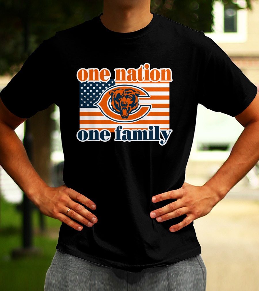 One Nation One Family Chicago Bears American Flag T-Shirt