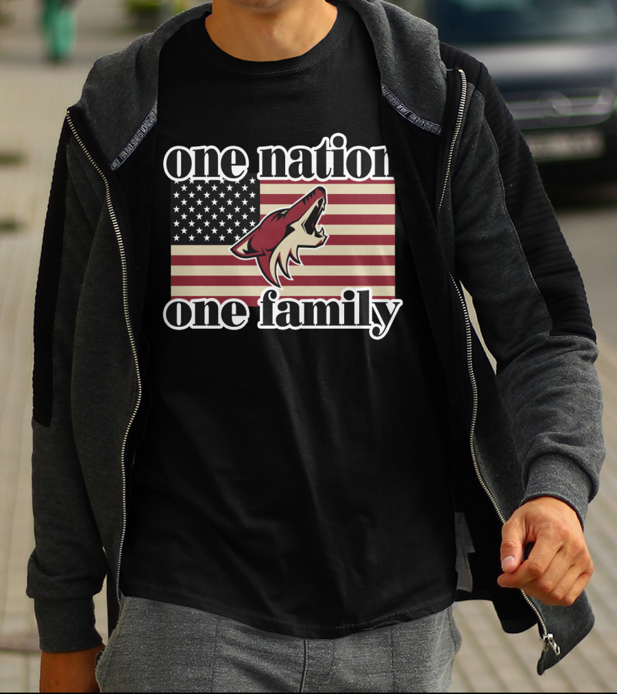 One Nation One Family Arizona Coyotes American Flag T-Shirt