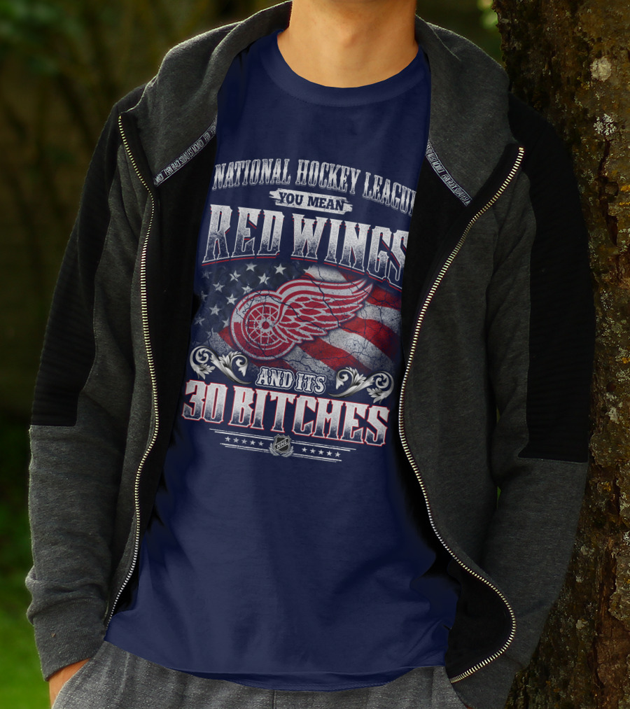 National Hockey League You Mean Red Wings And Its 30 Bitches T-Shirt