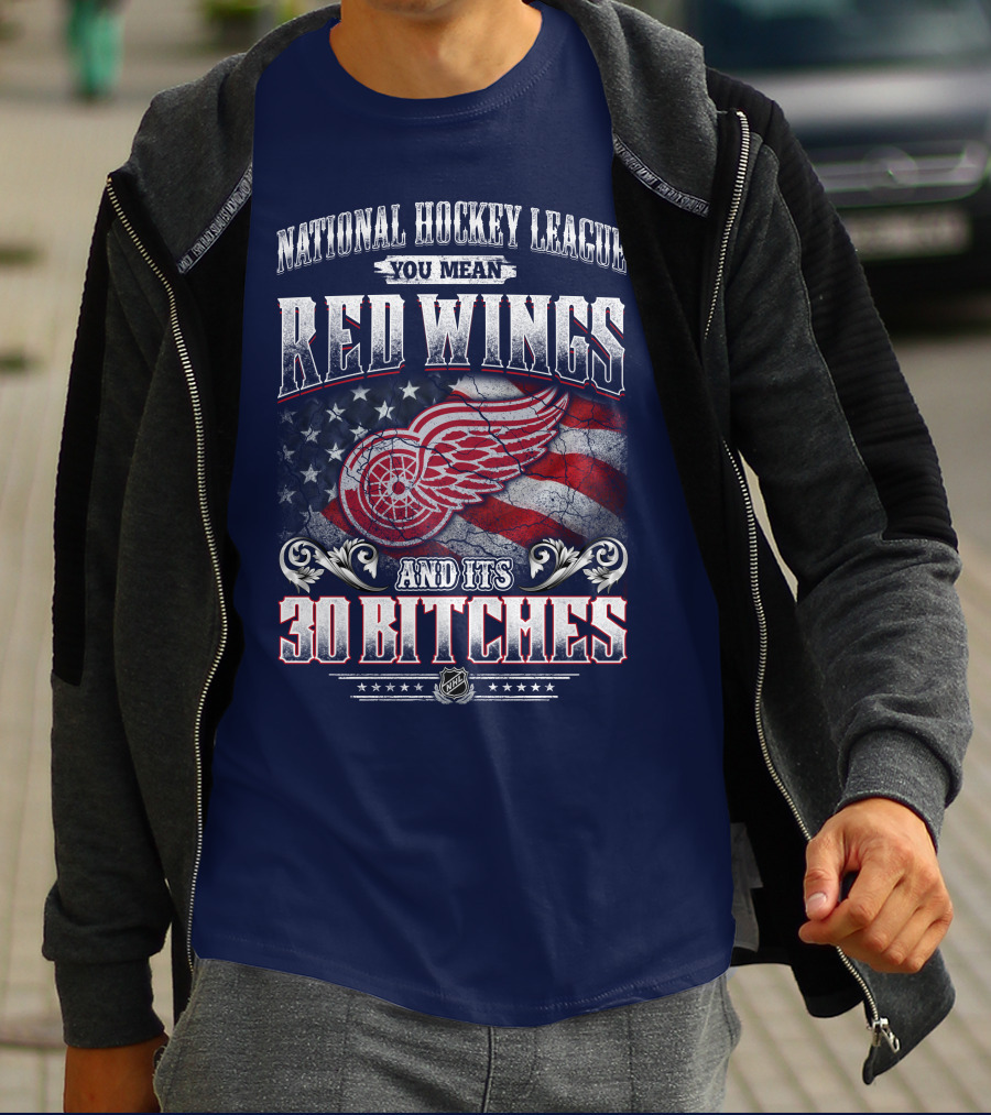 National Hockey League You Mean Red Wings And Its 30 Bitches T-Shirt