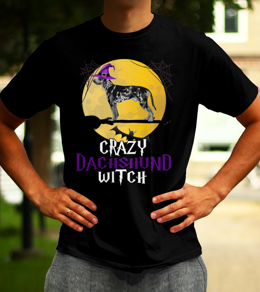 Crazy Dachshund Witch Dog With Purple Hat And Broom Halloween T-Shirt