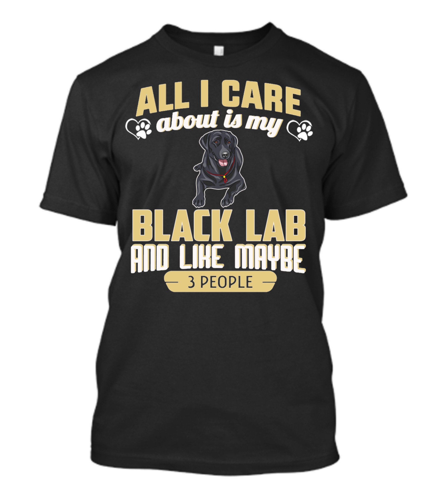 All I Care About Is My Black Lab And Like Maybe 3 People T-Shirt