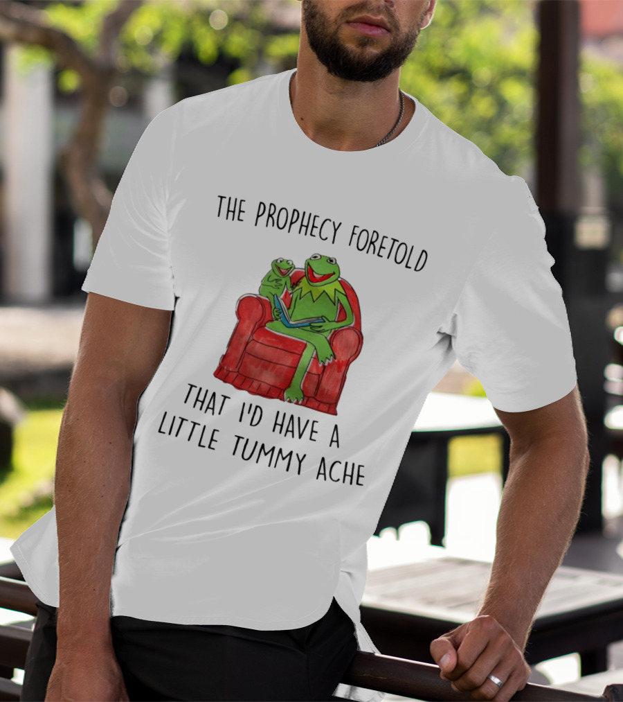 The Prophecy Foretold That I'd Have A Little Tummy Ache - Frog Reading On Red Armchair T-Shirt