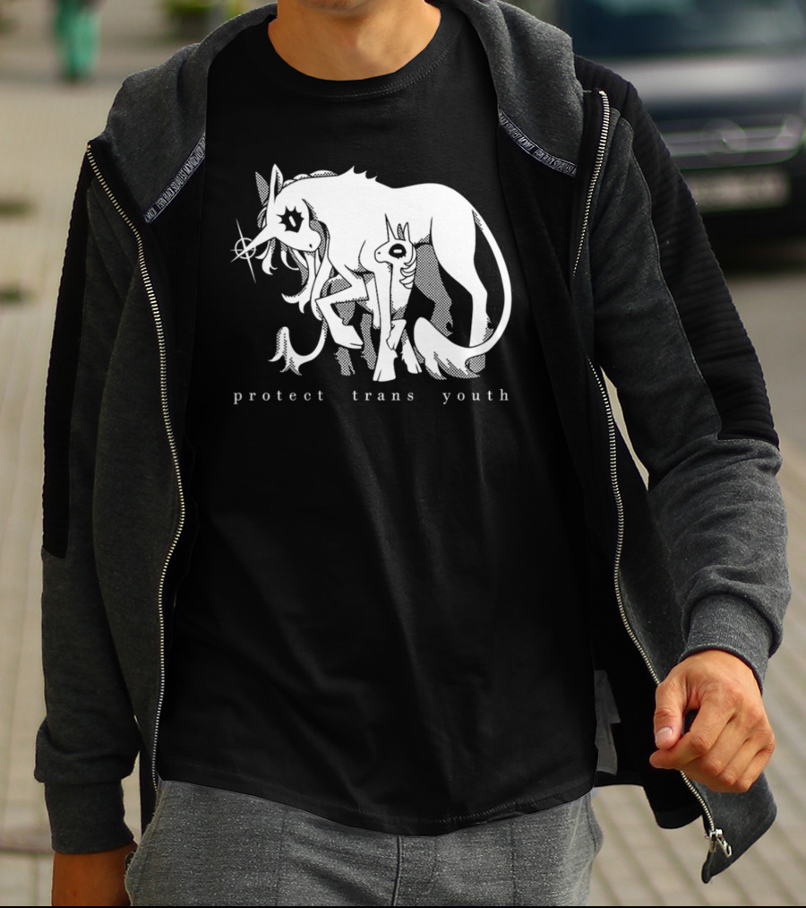 Protect Trans Youth Unicorn Support T-Shirt