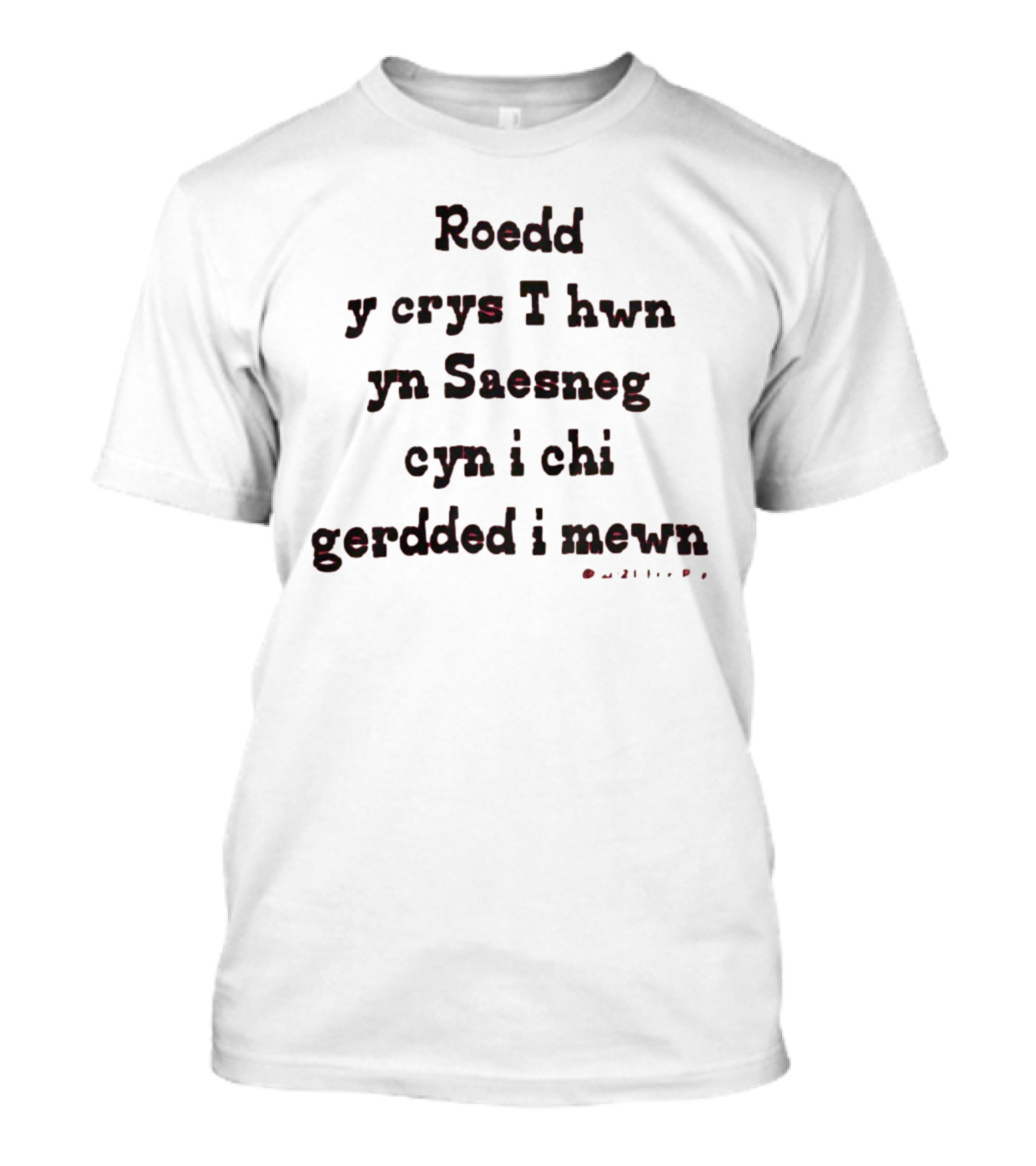 Roedd Y Crys T Hwn Yn Saesneg Cyn I Chi Gerdded I Mewn T-Shirt