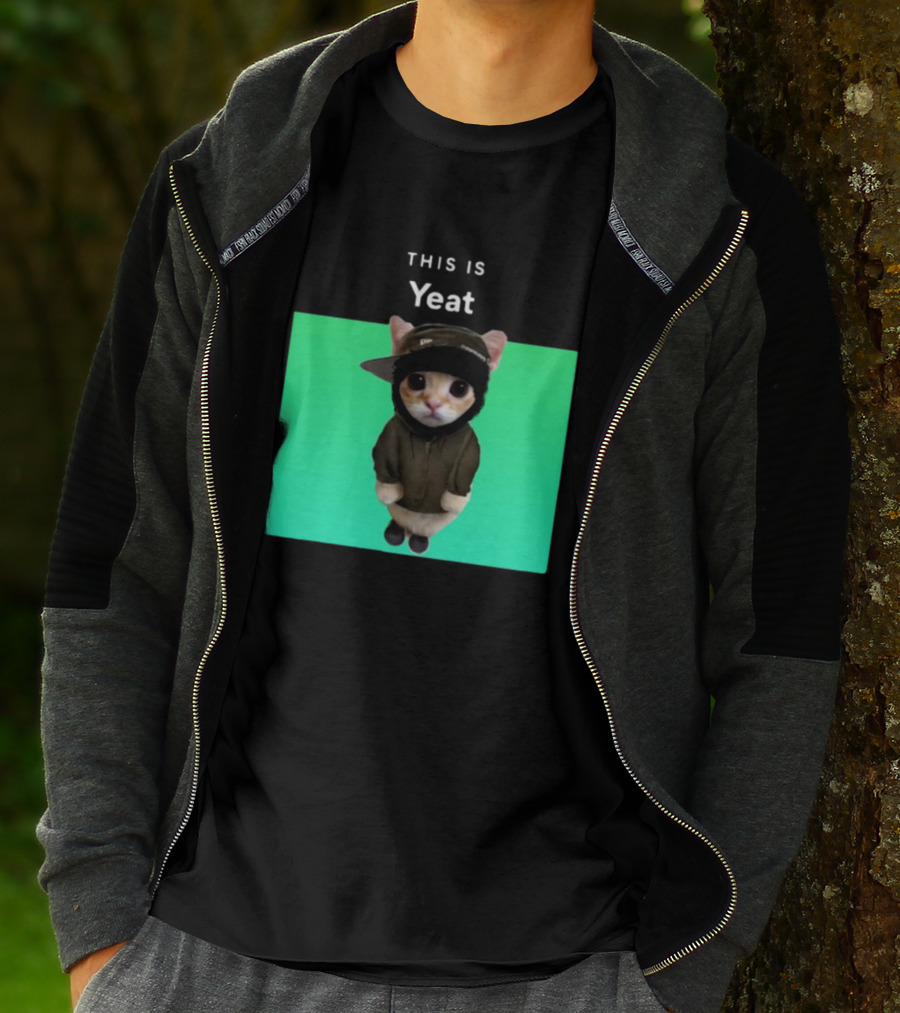 Yeat Cat Wearing Hoodie And Cap On Green Background T-Shirt