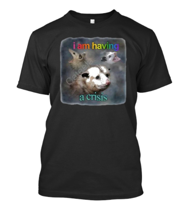Snazzyseagull I Am Having A Crisis Possum Multicolored Text Mood T-Shirt
