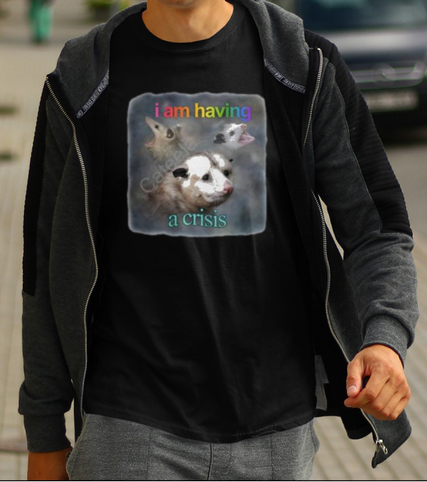 Snazzyseagull I Am Having A Crisis Possum Multicolored Text Mood T-Shirt