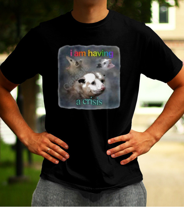 Snazzyseagull I Am Having A Crisis Possum Multicolored Text Mood T-Shirt